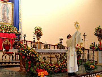 Fiesta Parroquia Guadalupe